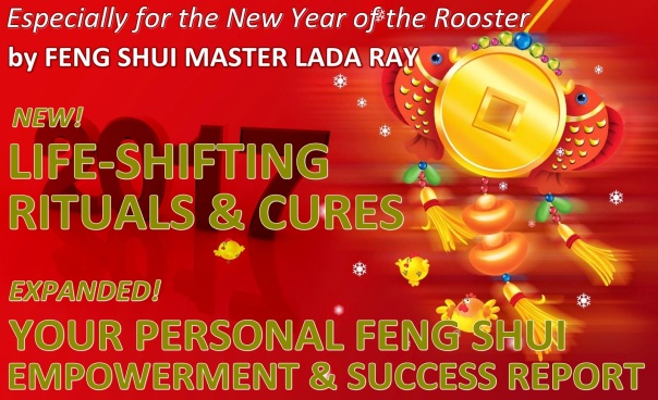 new-rooster-year-services-banner-2